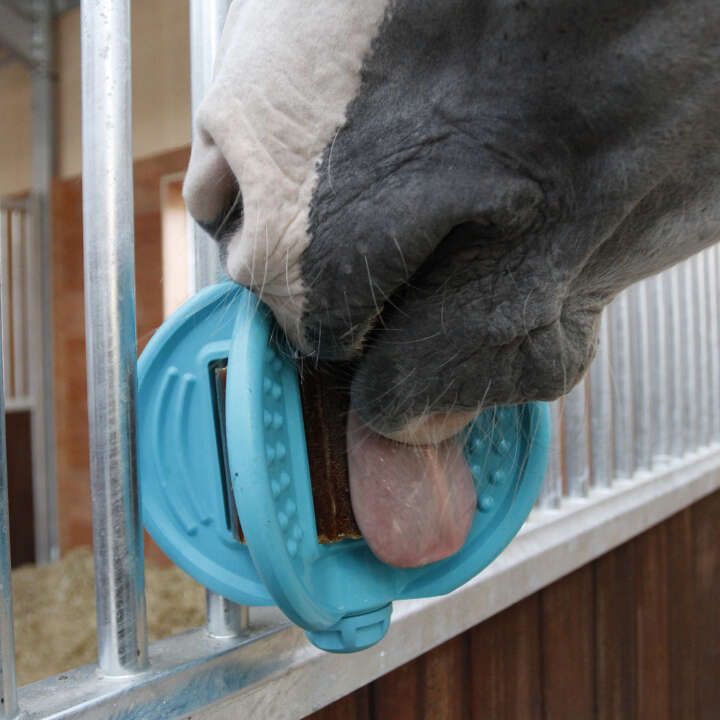 BIZZY Bizzy HORSE Ball